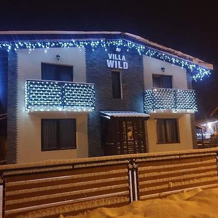 Villa Wild Petroşani Exterior foto