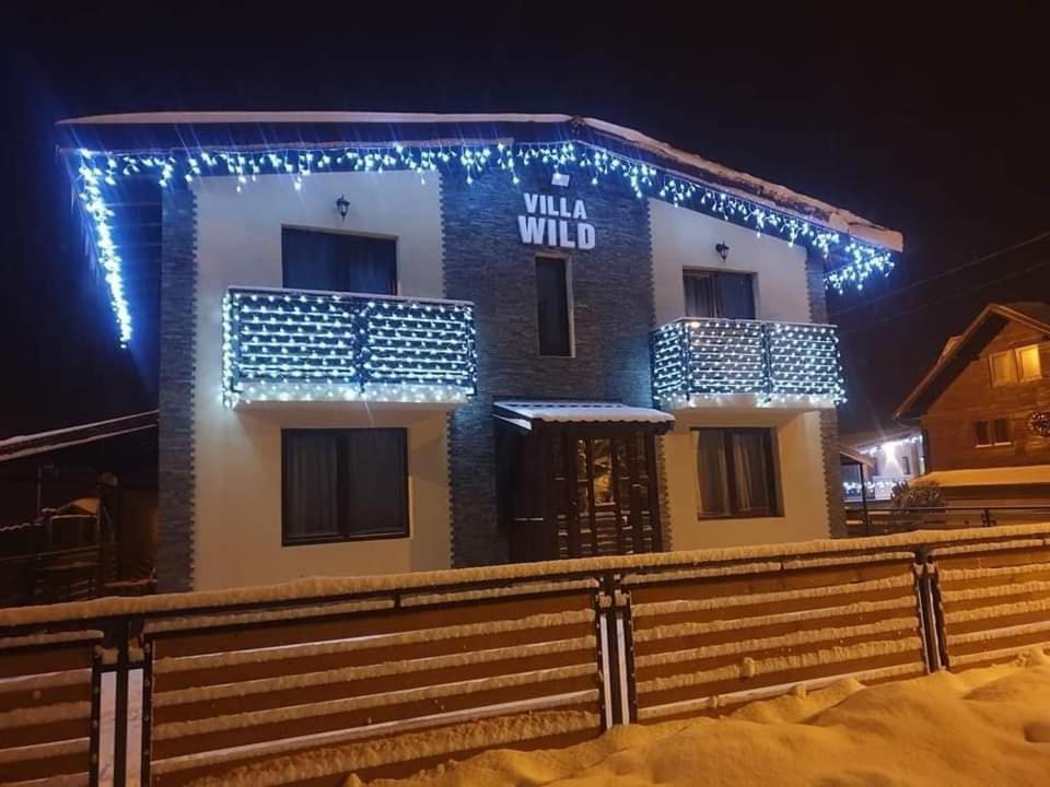 Villa Wild Petroşani Exterior foto